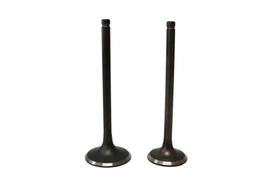 VALVULAS DE ADMISION Y EXPULSION 250Z